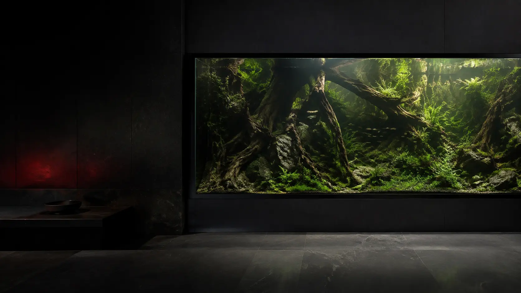 Üppig bepflanztes Naturaquarium mit Holz und Naturstein
